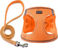 Dog Harness with Leash Set, No Pull Adjustable Reflective Step-in Puppy Pet Vest Harnesses for Small Medium Large Dogs and Cats,Orange XXS