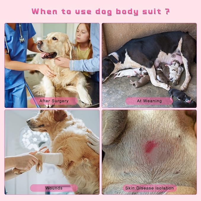 2 Packs Breathable Cotton Dog Recovery Suit for After Neuter Spay Abdominal Wounds Protector, Professional Anti-Licking Onesies for Male Female Pets Surgery Bandages, M Purple & Pink Stripes
