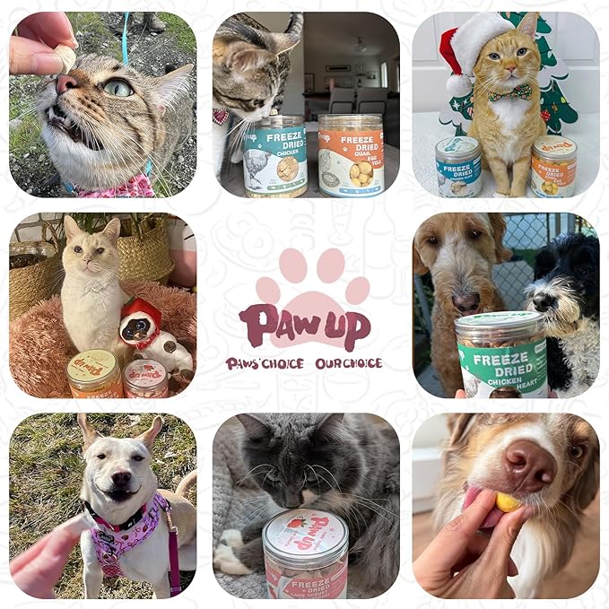 PAWUP Freeze Dried Dog Treats, Goat Milk Yogurt Flavor with Strawberry, Gentle Goat Milk Snacks for Sensitive Stomachs Puppies, 2.8 oz