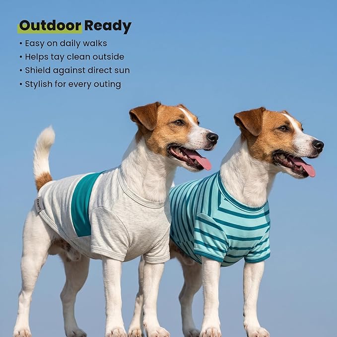 Fitwarm 3 Pack Color Block Striped Dog Shirt, Summer Dog Clothes for Small Dogs, Breathable Lightweight Pet Tshirt with Sleeves, Cat Outfit, Royal Blue, Gray, Teal, Large