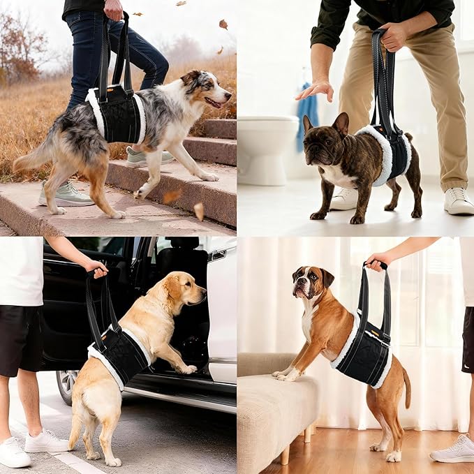 LumoLeaf Dog Lift Harness Sling for Back Legs, Adjustable Rear Leg Support & Mobility Aid, Hip Support for Senior/Disabled Dogs, Soft Fleece Lining, Padded Handles, for CCL/ACL Surgery (Black, Medium)