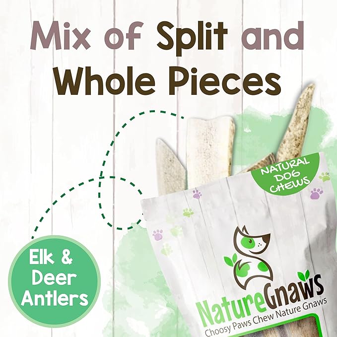 Nature Gnaws Antlers for Dogs (1Lb) - Mix of Elk and Deer Antler - Variety of Split and Whole Pieces - Long Lasting for Aggressive Chewers and Large Dogs (Packing May Vary)