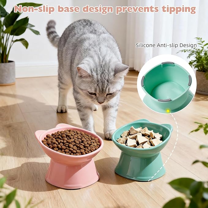 KSIA Klear Elevated Cat Bowls 2 Pack, Tilted Raised Cat Bowls for Indoor Cats, for Food and Water, 4.72" Wide, Whisker Friendly Anti Vomit for Indoor Cats, Microwave and Dishwasher Safe, Pink&Green