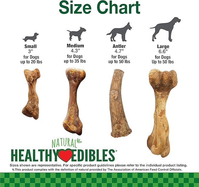 Nylabone Healthy Edibles Broth Bone Natural Dog Chews Long Lasting Treats Ham Flavor Large/Giant - Up to 50 lbs. (1 Count) (Pack of 2)