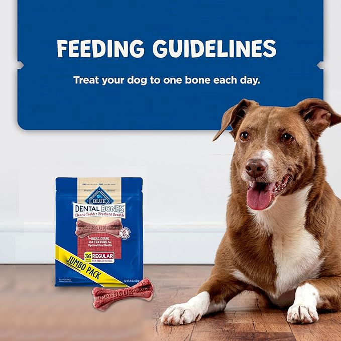 Blue Buffalo Dental Bones Regular Natural Dental Chew Dog Treats Bag Jumbo Pack, 36oz. Bag