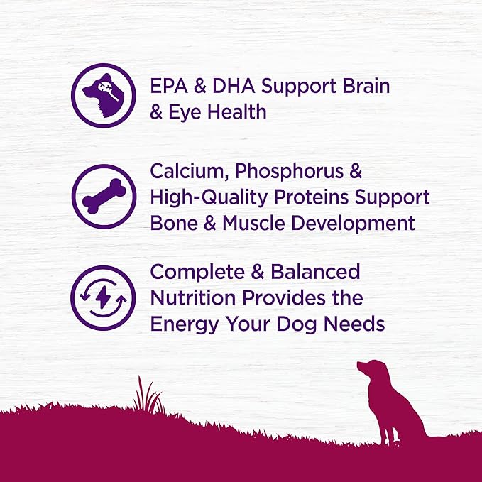 Wellness Complete Health Puppy Dry Dog Food, Small Breed, Wholesome Grains, Natural, Turkey, Oatmeal, & Salmon Recipe, (4-Pound Bag)