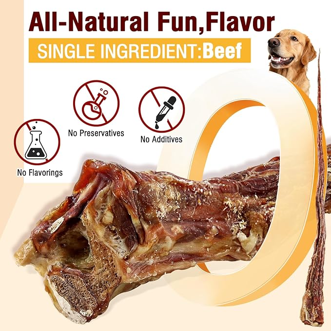 Grass-Fed Beef Tail Bones for Dogs – Durable Chewing Treats, No Additives or Fillers, Supports Teeth & Gum Health,Single Ingredient, Rawhide-Free & Digestible for All Dogs（3 PCS）
