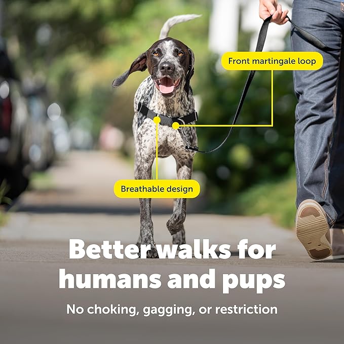 PetSafe Easy Walk Comfort No-Pull Dog Harness Full-Body Padding - Better Walks on the First Use - 5 Points of Adjustment Medium/Large, Blue
