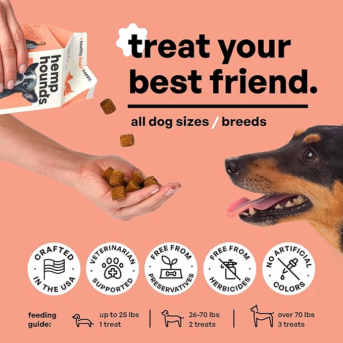 Adaptogenic Joint Supplement for Dogs- Glucosamine Chondroitin for Dogs with Green Lipped Mussels - MSM - 90 Chews - Dog Pain Supplement - Inflammation Relief Chews - Beef Liver Flavor