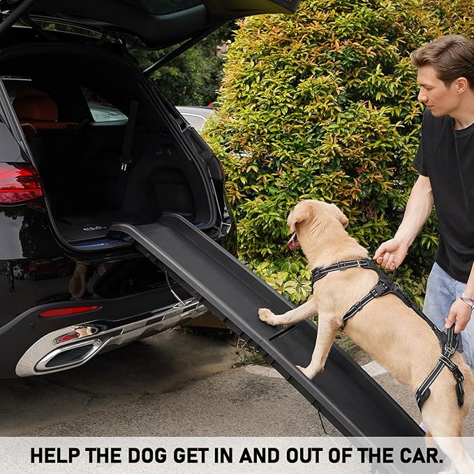 COODEO Mobility Dog Lift Harness, Support Sling & Walking Sling for Dogs, Pet Rear Leg Rehabilitation Support Vest, Dog Carrier for Senior Dogs with Joint Injuries, Arthritis, Up Stair (Black, L)