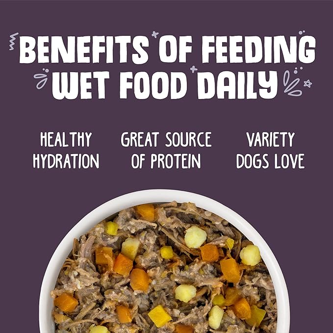 Weruva Classic Dog Food, Steak Frites with Beef, Pumpkin & Sweet Potato in Gravy, 5.5oz Can (Pack of 24)