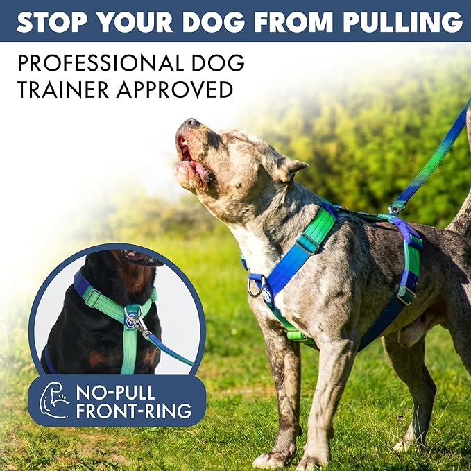Spark Paws No Pull Dog Harness with Handle for Large Dogs, Heavy Duty Dog Harness for Big Strong Breeds, Adjustable, Y Shaped Padded Halter Design with Front Clip - Lime Wave - L