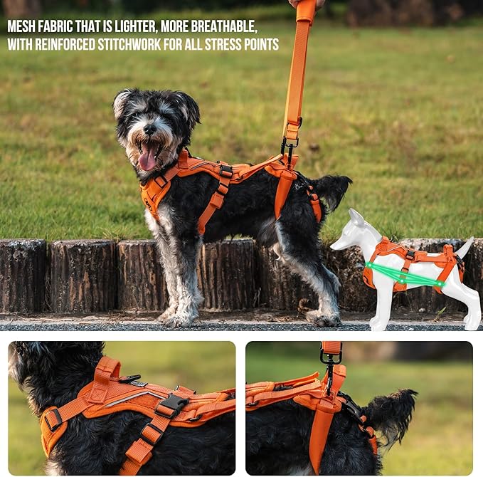 OneTigris Lift Harness for Small Dogs XS, Sling Carrier to Help Lift and Walk, Outdoor Full Body Support with Reflective Straps for Back Legs