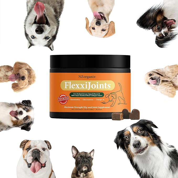 NZorganix FlexxiJoints Hip and Joint Supplement Chews for Dogs, Cats • 100% Grass-Fed Beef Bone Collagen New Zealand Green-Lipped Mussels • 50 Chews 2-Pack