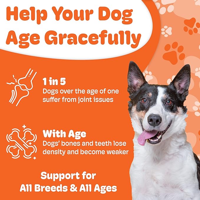 Boneo Canine | Patented Dog Bone and Joint Supplement | Vet-Recommended Lactoferrin Formula | Beyond Glucosamine | All Ages & Breeds | 90 Dual PackChewable Tablets, Liver Flavor