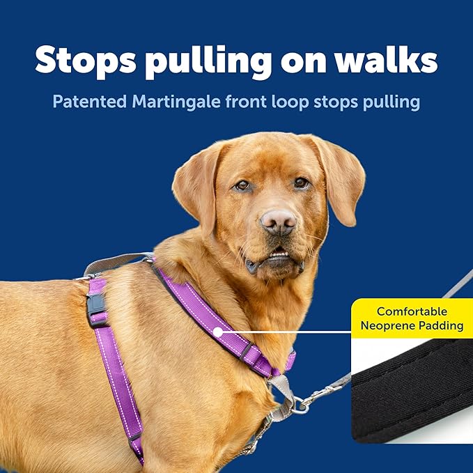 PetSafe 3 in 1 No-Pull Dog Harness for Large Dogs - Walk, Train or Travel - Helps Pets from Pulling on Walks - Seatbelt Loop Doubles as Quick Access Handle - Reflective- Large, Plum