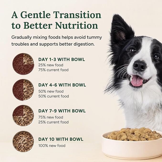 360 Pet Nutrition Freeze-Dried Raw Dog Food – Beef Recipe with Liver & Organs, High Protein with Omega-3s, Fruits, Veggies & Superfoods, Grain-Free, No Fillers, 5 oz – Made in USA
