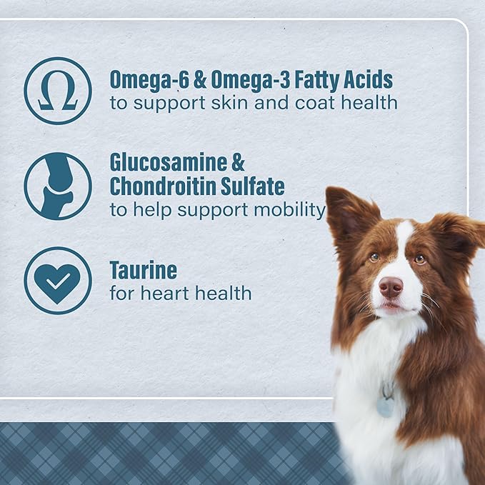Nutrena Loyall Life All Life Stages Dog Food, Chicken & Brown Rice Recipe, 6 lbs