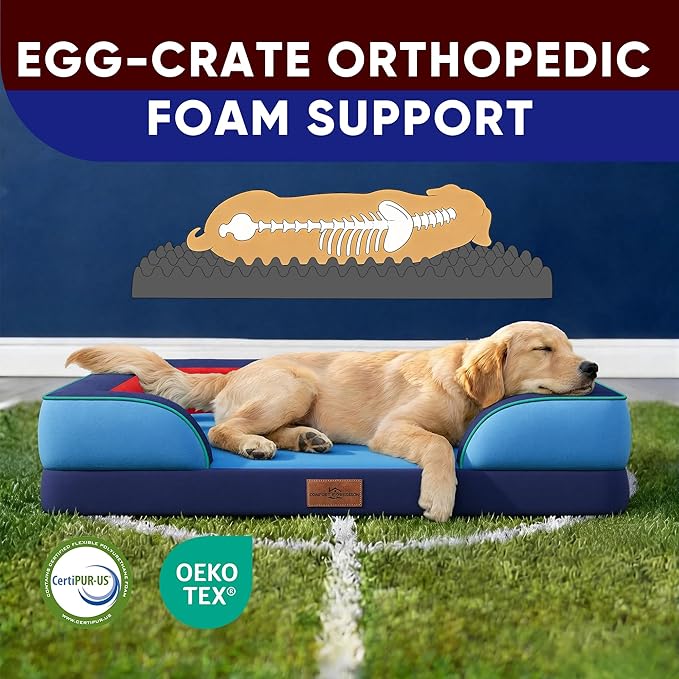 Comfort Expression Orthopedic Dog Bed for Large Dogs 36x27 Inch, Waterproof Egg Crate Foam Large Pet Bed with Removable Bolsters, Dog Couch with Washable Cover & Non-Slip Bottom, Philadelphia