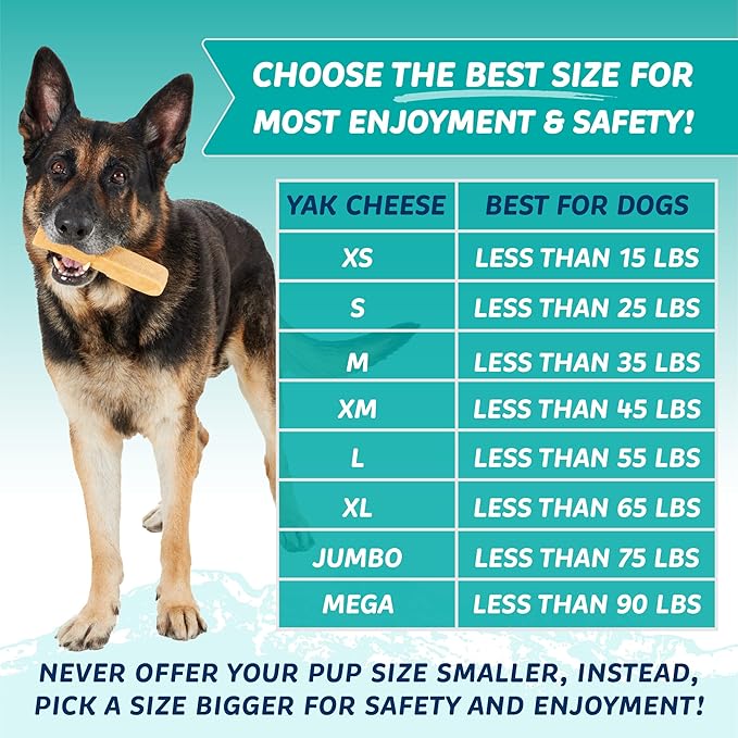 Durkha Yak Cheese Chews: Himalayan Yak Cheese Dog Chews- Natural, Healthy & Long Lasting Dog Treats - Grain, Gluten & Lactose-Free Rawhide Alternatives, For Dogs 65 lbs and Smaller, Single Extra Large