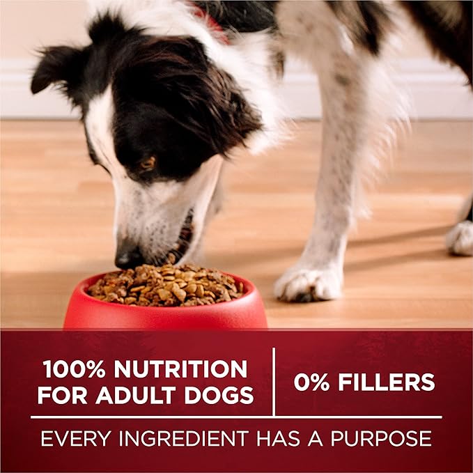 Purina One True Instinct Lean Muscle Support With Real Beef Natural With Added Vitamins, Minerals and Nutrients High Protein Dog Food - 15 lb. Bag