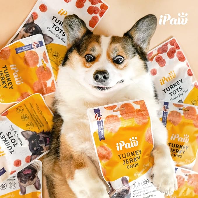 iPaw Turkey Chips Dog Treats for Puppy Training, All Natural Human Grade Dog Treat, Hypoallergenic, Easy to Digest (Turkey Chips)