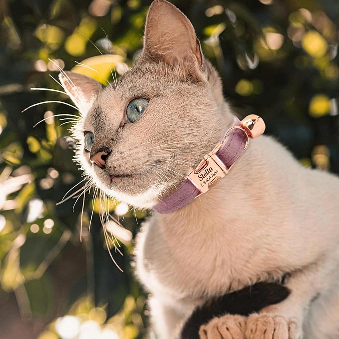 Personalized Non-Breakaway Cat Collar with Name, Luxury Soft Velvet Custom Engraved Name Collar with Bell for Kittens & Cats (Yellow, S (6.5-10.5 inches))