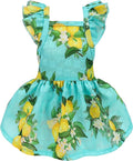 Fitwarm Lemon Dog Dress, Dog Clothes for Small Dogs Girl, Pet Cat Apparel, Teal Blue, Yellow, Green, Medium