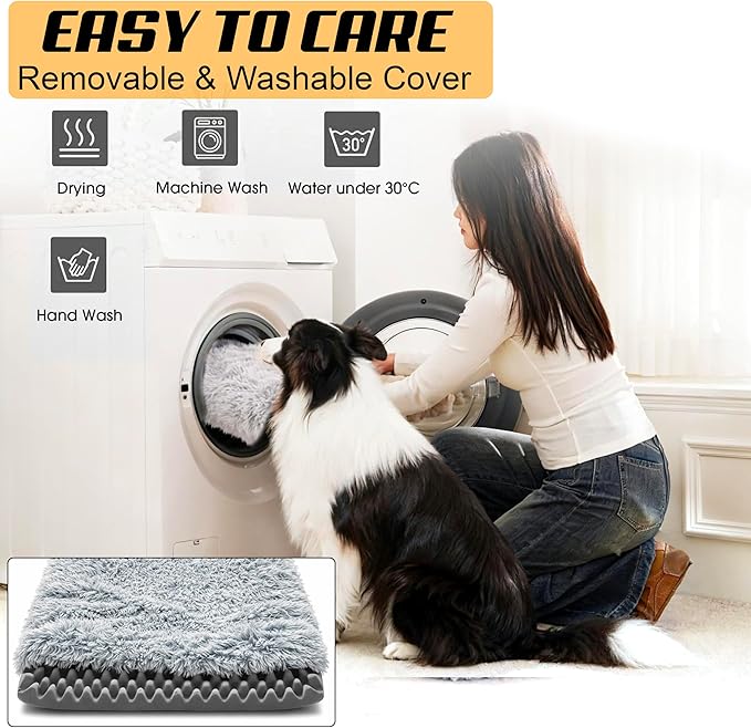 Dog Bed with Removable Cover, Orthopedic Dog Bed (Medium) - Premium Quality, Washable & Portable,Multiple Sizes, Stylish Design, Removable Cover, Size(19.68 x 15.74 X 2) inch