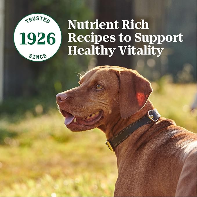 Nutro Natural Choice Cuts in Gravy Wet Dog Food, Grain Free Dog Food Wet Lamb and Beef Recipes Variety Pack, 3.5 oz. Trays (12 Count, Pack of 2)