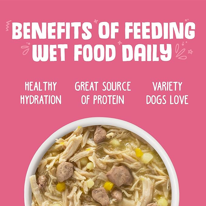Weruva Classic Dog Food, Amazon Livin' with Chicken Breast & Chicken Liver in Pumpkin Soup, 5.5oz Can (Pack of 24)