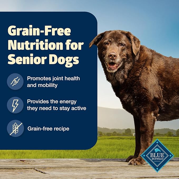 Blue Buffalo Freedom Grain-Free Senior Dry Dog Food, Provides Energy to Stay Active, Made in the USA with Natural Ingredients, Chicken & Potatoes, 4-lb Bag