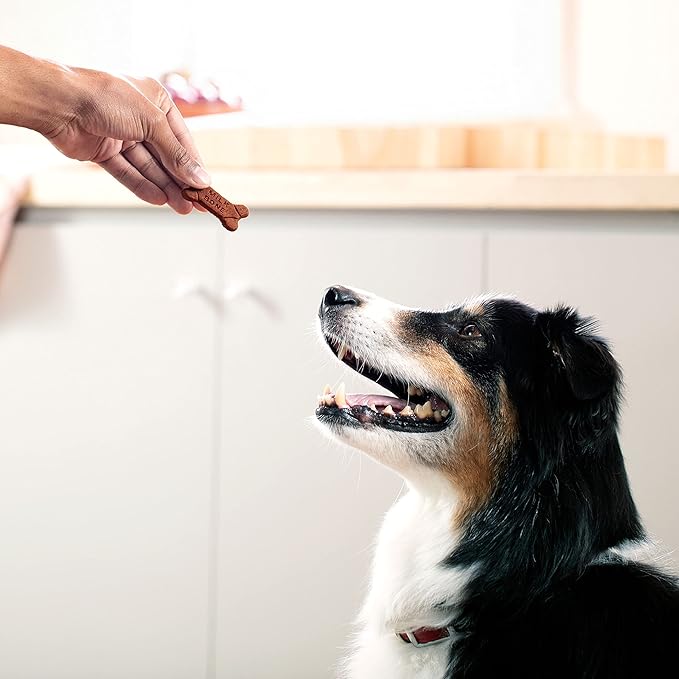 Milk-Bone Soft & Chewy Dog Treats Made with Real Bacon, 25 Ounce (Pack of 2)
