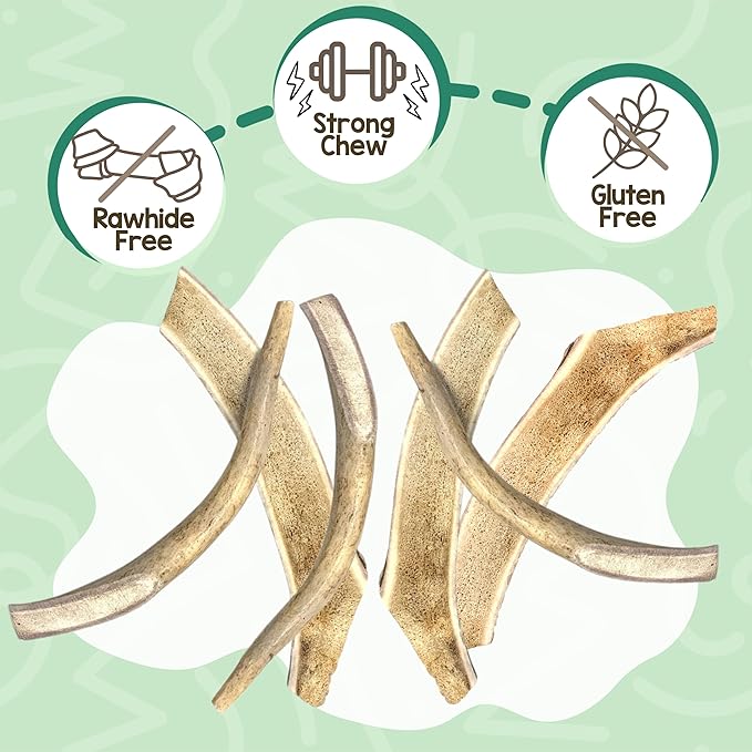 Nature Gnaws Antlers for Dogs (8oz) - Mix of Elk and Deer Antler - Variety of Split and Whole Pieces - Long Lasting for Aggressive Chewers and Large Dogs