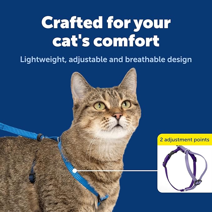 PetSafe Come With Me Kitty Cat Harness & Bungee Leash - Comfortable Cat Harness with Lightweight Bungee Leash for Outdoor Fun - More Secure Walks - Medium - Royal Blue