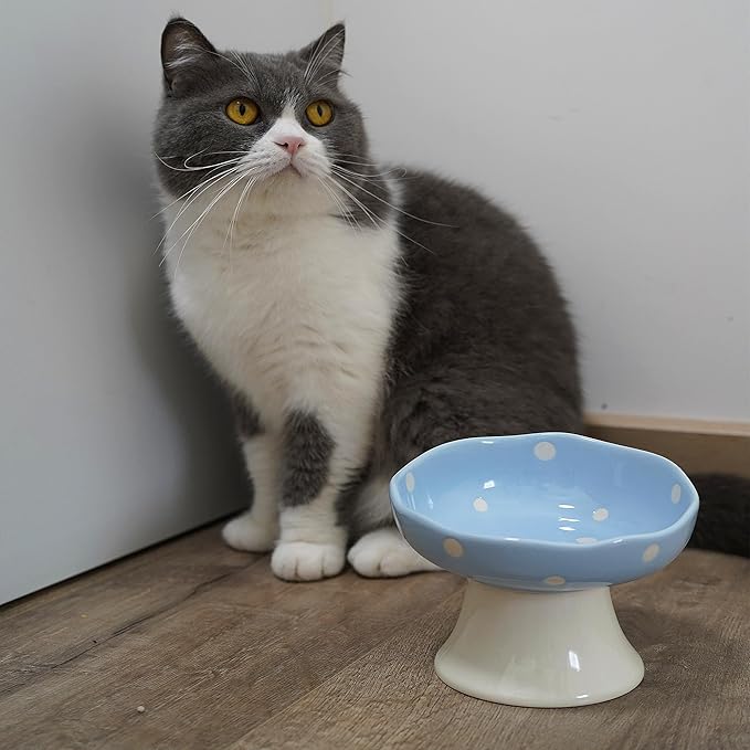 Ceramic Elevated Cat Bowls, Tilted Raised Pet Dish for Indoor Cats, Whisker Friendly Pet Food and Water Bowl for Kitten, Cat, Puppies, Dishwasher Safe (Blue)