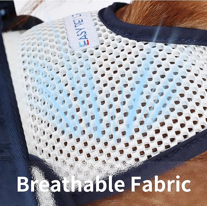 Dog Lift Harness for Back Legs - Adjustable Mobility Aid for IVDD/Paralyzed/Senior Dogs (3-in-1 Sling Design), Comfortable Leg Support, Instantly Help Your Dog Walk Again (Blue, XL)