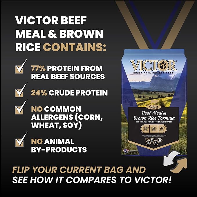 VICTOR Super Premium Dog Food – Select Beef Meal & Brown Rice Formula for Immune and Gut Health – Gluten-Free Beef Meal Dry Dog Food for All Normally Active Dogs of All Life Stages, 5 lbs