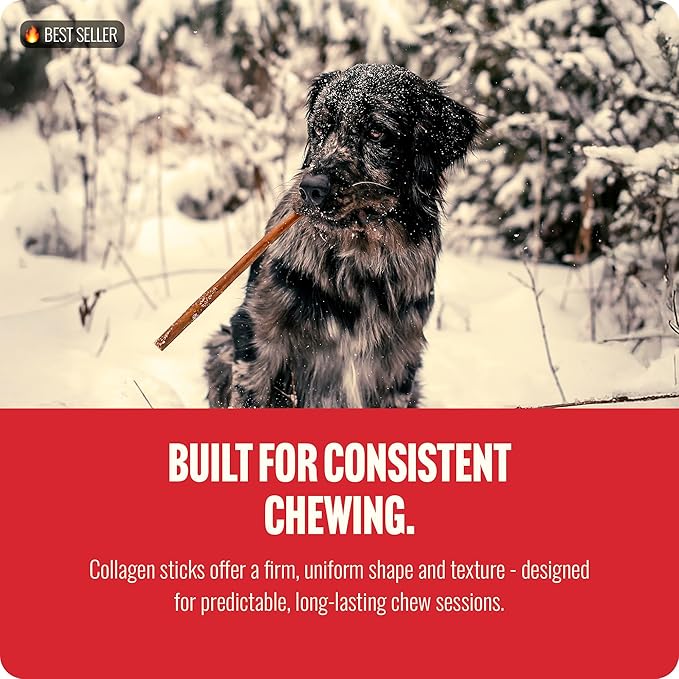 Natural Farm Collagen Dog Chews (12 Inch, 5 Pack), Odor-Free Long Lasting Bully Sticks & Rawhide Alternative Dog Treats, 95% Collagen Low Fat, High Protein – Medium & Large Dogs