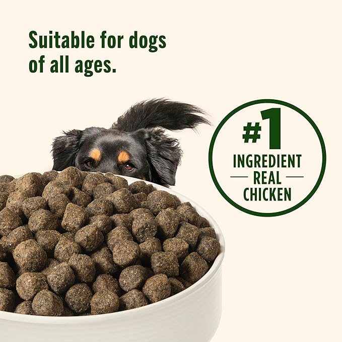 Nutrish Grain Free Chicken & Sweet Potato Recipe Dry Dog Food, 13 lb. Bag, Packaging May Vary (Rachael Ray)