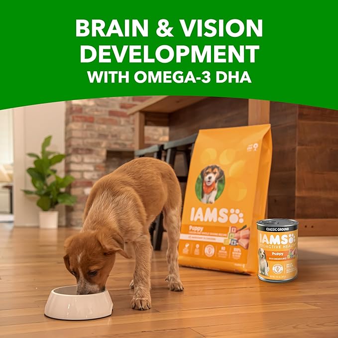 IAMS Proactive Health Puppy Wet Dog Food, Classic Ground Dog Wet Food, with Chicken and Rice, 13 oz. Cans (Pack of 12)
