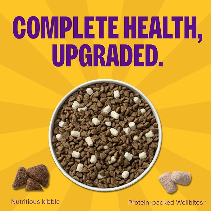 Wellness Complete Health+ Dry Dog Food, Adult Small Breed Turkey & Oatmeal Recipe with Freeze-Dried Wellbites (3.75 Pound Bag)