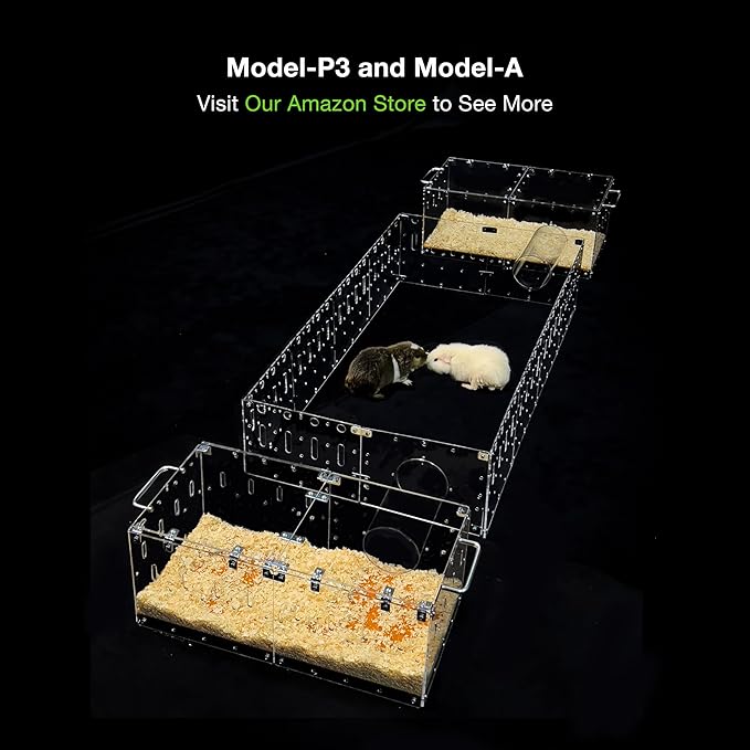 GuineaLoft™ Acrylic Cage (Model-P3) - Small 2x1 ft Enclosed w/Lid & Bottom for Hamsters, Rats, Mice, Gerbils, Also Works for a Single Guinea Pig, or as a Transport Cage