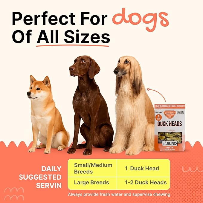 Gaines Family Farmstead Duck Heads for Dogs – 3 Count, Single Ingredient, Dehydrated Dog Chews – High in Protein, Supports Dental Health & Joint Care – Rawhide-Free Treats, Made in USA