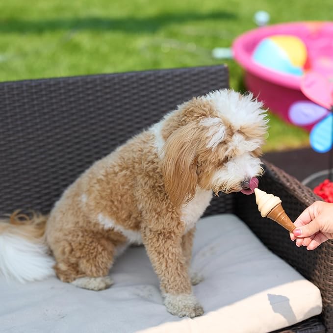 SPOT Pup Ice- Ready to Freeze at Home Dog Treats-Edible Chews for Medium Breed Dogs & Puppies with Real Chicken to Keep Your Pup Cool Year Round, Waffle Cone Vanilla and Peanut Flavor, 2pcs