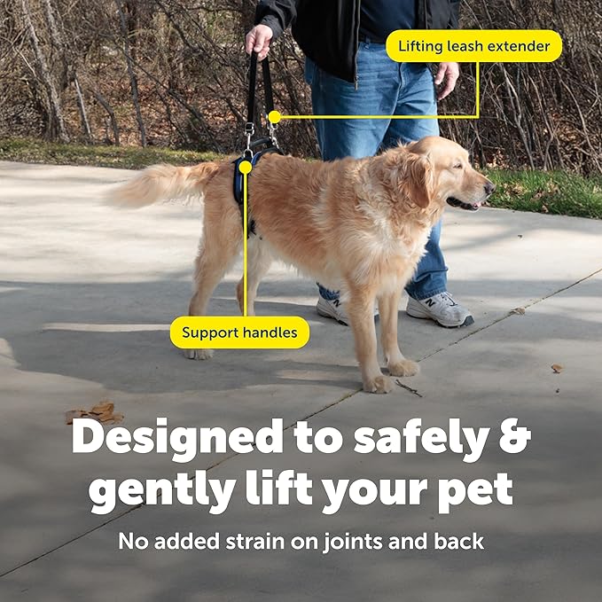 PetSafe CareLift Rear Support Harness - Lifting Aid with Handle and Shoulder Strap - Fits Waist Measuring 27-37 inches, Dog Weight 70lb-130lb, Large, Black