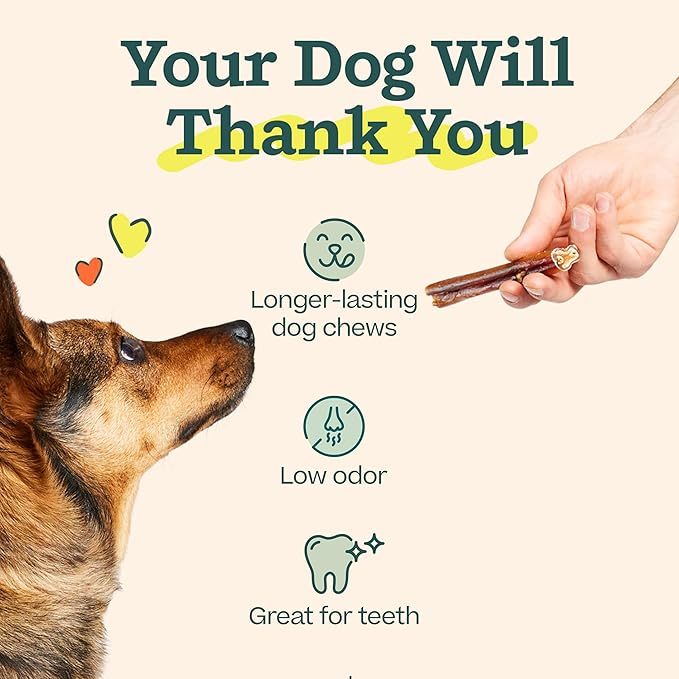 WOOF BullySafe and Bully Sticks - Nutritious Chew Sticks for Dogs and Bully Stick Holder for Safe, Long-Lasting Play - No More Swallowed Ends - 6" Sticks - 5 Pack