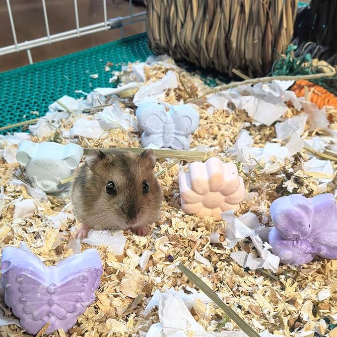 Hamiledyi 48PCS Rabbit Grass Balls 1.96in Guinea Pig Balls Small Animal Activity Enrichment Toy for Bunny Chinchilla Hamster Gerbil Grinding Playing