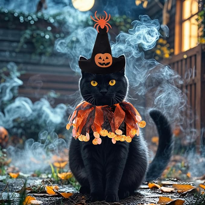2 Pcs Cat Halloween Witch Costume Suit - Pet Witch Pumpkin Hat and Tutu Collar, Cute Cat Outfit for Cats and Small Dogs