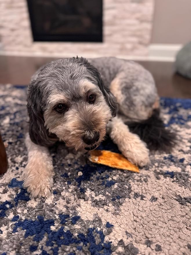 Fieldcrest Farms Nothin’ to Hide Flip Chips – Collagen-Based Rawhide Alternative Dog Chews for Moderate Chewers Up to 35 lbs, Highly Digestible, Supports Joints & Skin, Fresh Salmon Flavor, 8 Chips